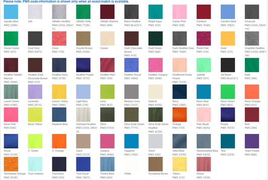 Zzeeks 100% Cotton Basic Tee