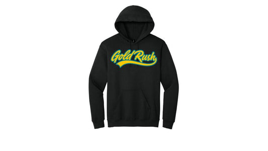 Twill Embroidered Hooded Sweatshirt